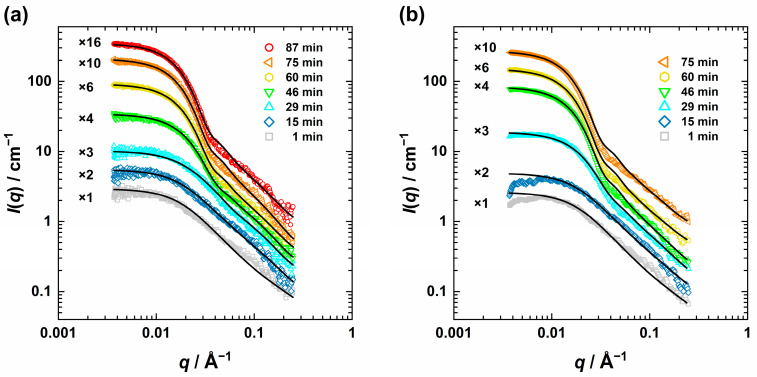 Selected slit-smeared USAXS curves measured during the ZnO particle formation at T = 58 °C (a) and T = 63 °C (b) at different times described by a combination of the flexible cylinder model [70,71] with two sphere form factor contributions [80].