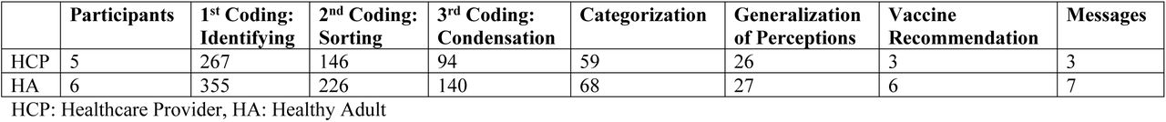 Analytical process for the interviews
