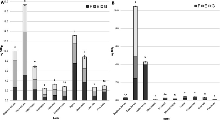 Total phenolic content (TP) and total flavonoid content (TF) in tested herbs. F - free forms of polyphenolic compounds; E - polyphenolic compounds released from ester bonds; G - polyphenolic compounds released from glucoside bonds