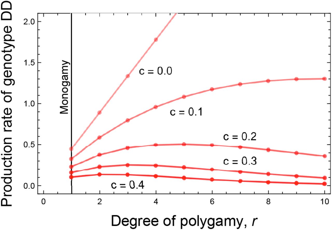 Effect on the rate of production of DD genotype with increases in degree of polygamy (r) for different fitness cost (c).We start from a population with an equal abundance of all three genotypes with 100% drive efficiency of distortion-based gene drive for different fitness costs. In essence, we plotted equation (9) for varying r and c keeping xWW = 1/3, xWD = 1/3, xDD = 1/3 and p = 1. Increasing the fitness cost of the drive allele decreases the overall production of the DD genotype. For a moderate level of fitness cost, production of genotype DD first increases up to a point for species with a higher level of polygamy but then started to decrease.