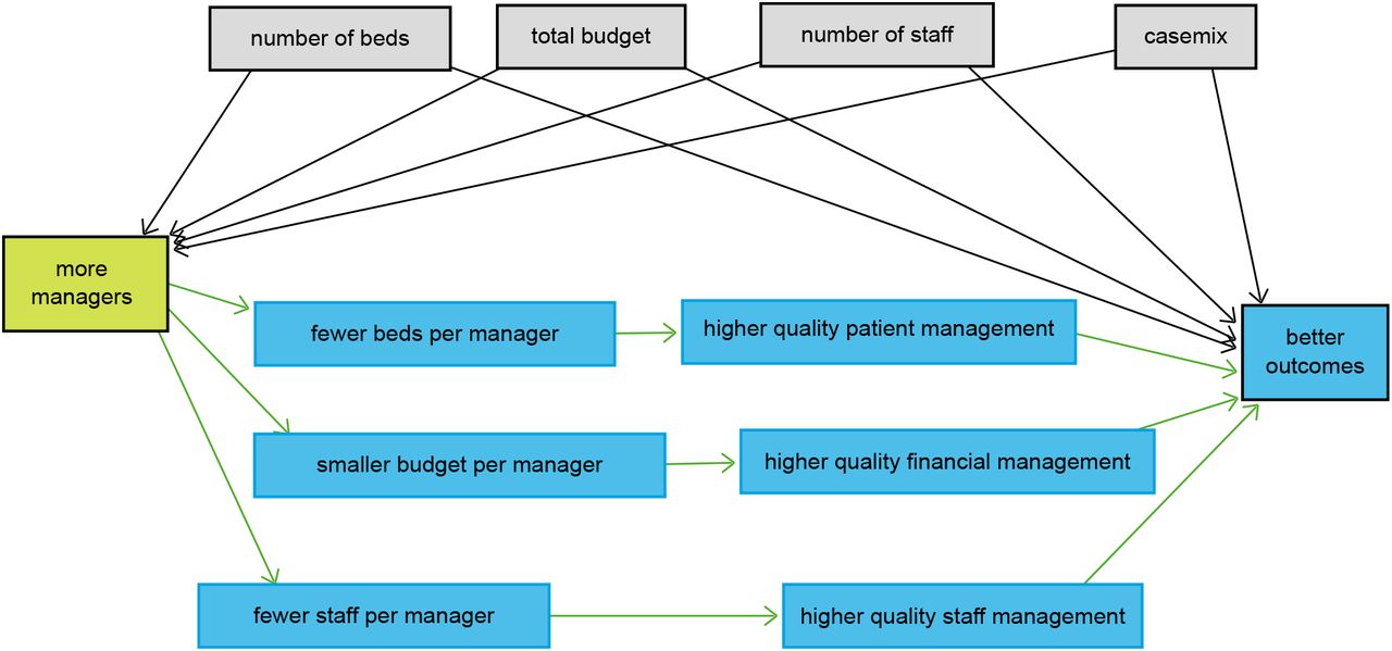 Suggested mechanism linking management input and hospital performance