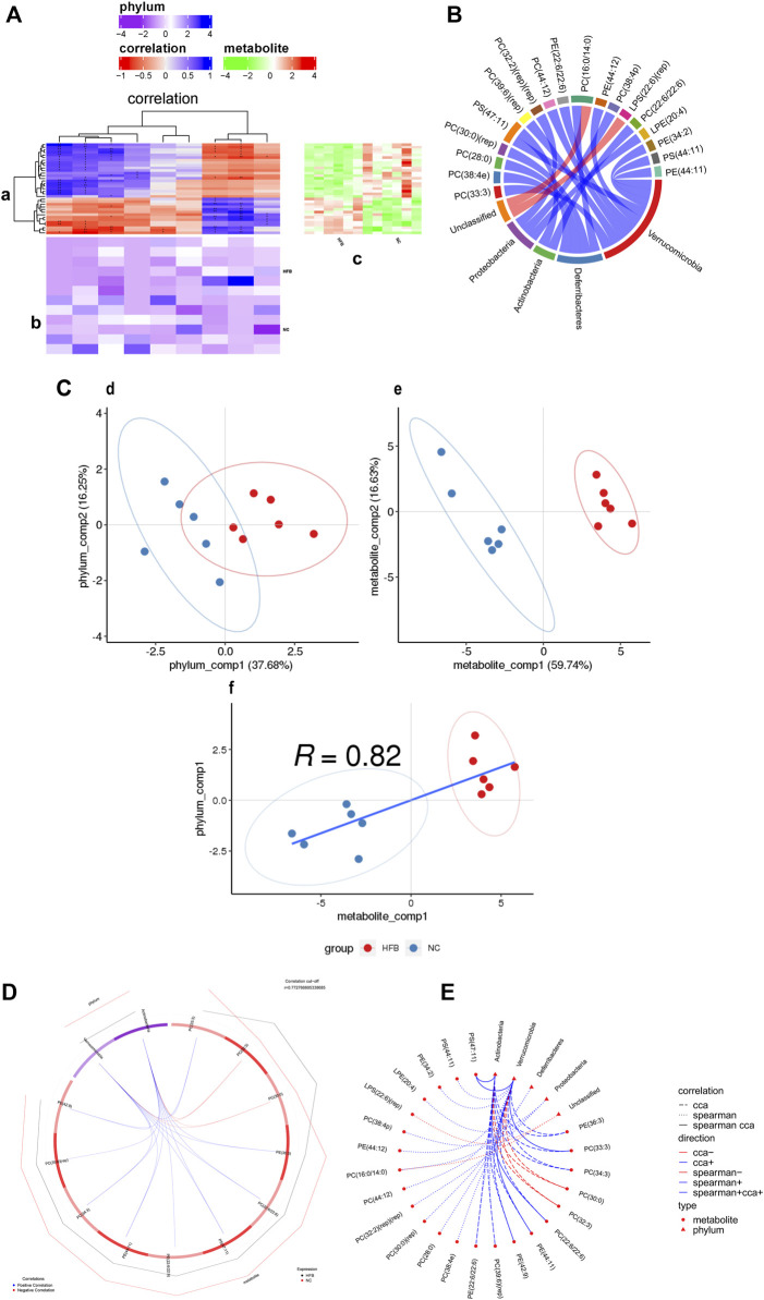 Correlation analysis of differential metabolites and microbial taxa in the prefrontal cortex tissue of ApoE−/− mice fed continuous high-fat diets combined with bound stimulation. (A) Heat map of the correlation between differential metabolites and microbial taxa in prefrontal cortex tissue. (a) clustering heat map of correlation between differential metabolites and microbial taxa, horizontal coordinates are microbial taxa, vertical coordinates are differential metabolites, * indicates p value < 0.05,** indicates p value < 0.01; red indicates a negative correlation, blue indicates positive correlation, the darker the color, the stronger the correlation; (b) heat map of relative abundance of microbial taxa, rows represent samples, row names are group names, columns represent microbial taxa, those with column names are differential microbial taxa, from yellow to red indicate low to high relative abundance. (c) heat map of differential metabolite abundance, rows represent differential metabolites, columns represent samples, column names are group names; Pathway: metabolic pathways significantly enriched in differential metabolites, each color other than grey represents a metabolic pathway. The complex heat map is clustered based on the correlation coefficients in plot (a). Microbial taxa with high correlation with differential metabolites are clustered together in plot (b), while differential metabolites with high correlation with microbial taxa are clustered together in plot (C). (B) Chord diagram of the correlation between differential metabolites and microbial taxa in prefrontal cortex tissue. Each node represents a differential metabolite or microbial taxon, and the red arcs between nodes represent negative correlations and the blue arcs represent positive correlations. (C) Scatter plot of the correlations between differential metabolites of prefrontal cortex tissue and microbial taxa. (d) scatter plot of microbial taxon components, the horizontal coordinate is the first component value, the vertical coordinate is the second component value; (e) scatter plot of differential metabolite components, the horizontal coordinate is the first component value, the vertical coordinate is the second component value; (f) scatter plot of Pearson correlation between differential metabolites and microbial taxon first components, the horizontal coordinate is the metabolic pathway first component value, the vertical coordinate is the microbial taxon first component value. A larger R indicates a higher degree of correlation between microbial taxa and the first component of the metabolic pathway. (d,e,f) Each point in the plot represents a sample, and the colors and ovals represent sample groupings; the greater the sample dispersion in different groups, the better the classification of that component value. (D) Ring plots of differential metabolite and microbial correlations in prefrontal cortex tissue. The broken line on the periphery of the ring represents the abundance value of the differential metabolite and the microbial group in each group, the distance between the broken lines represents the difference between the groups, the upper right corner is the correlation coefficient threshold, and only the differential metabolites with the absolute value of the correlation coefficient greater than the threshold There is a connection with the microbial group. The blue connection represents a positive correlation, and the red connection represents a negative correlation. (E) Network diagram of a correlation between differential metabolites and microbial taxa in prefrontal cortex tissue. Circles are metabolites, triangles are microbial taxa, red lines indicate negative correlations, blue lines indicate positive correlations, long dashed lines indicate typical correlations, short dashed lines indicate rank correlations and solid lines indicate typically and rank correlations.