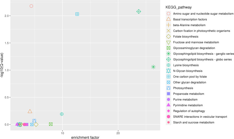 Genes enrichment results in the candidate regions via KEGG analysis [82–84]. The x-axis represents the enrichment factor and the y-axis represents Q-value. The smaller the Q-value, the higher the enrichment degree