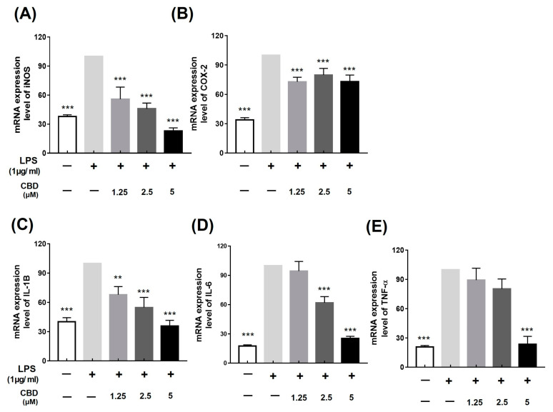 Inhibitory effect of CBD on mRNA expression of inflammatory factors. All samples except control were treated with 1 μg/mL of LPS. (A) iNOS; (B) COX-2; (C) IL-1β; (D) IL-6; and (E) TNF-α mRNA expression levels in groups treated with various concentrations of CBD compared with those in the LPS-only treatment group. Data represent the means ± SD in triplicate. p-value was calculated based on LPS-only data using ANOVA and Tukey’s post hoc test (** p < 0.01, *** p < 0.001).