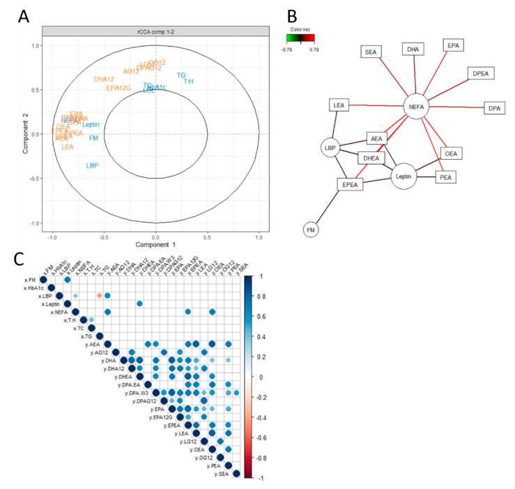 Unsupervised exploration of the relationship between measured eCB system-related mediators and biological parameters using regularized canonical correlation (rCCA) and correlation matrix. (A) Correlation circle plot allocating biological parameters and eCBome features along the main components derived from the integration of both data sets. The components correspond to the equiangular vector between x- and y-variates. The features in the area outside the inner concentric circle (radius < 0.5) were retained as significant and shown in the scatter plot. (B) Relevance network of top correlations between biological parameters (circles) and eCBome lipids (rectangles) with a cut-off = 0.55. Lines are colored according to the strength of the association score between two variables with red showing positive correlations. (C) Correlation matrix (Spearman with Holm’s adjustment); positive correlations are displayed in blue and negative correlations in red color. The color intensity and the size of the circle are proportional to the correlation coefficients. “X” refers to the first data set, the metabolic biological parameters while “Y” refers to the second data set, the endocannabinoids. Abbreviations: see Table 1.