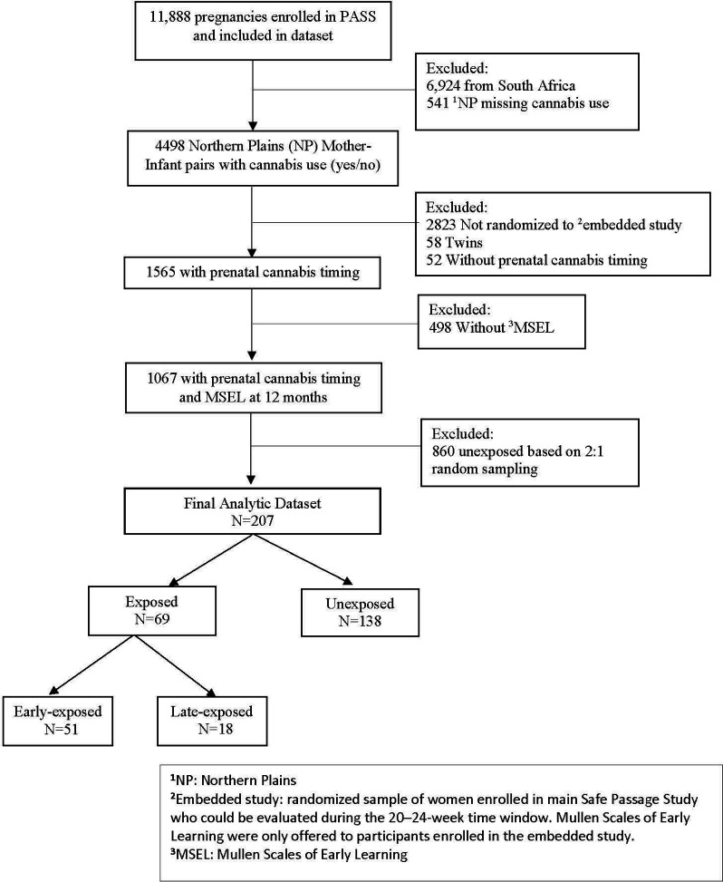 PASS study prenatal Cannabis Use CONSORT diagram. CONSORT format diagram describing study selection of participants exposed and unexposed to prenatal cannabis.