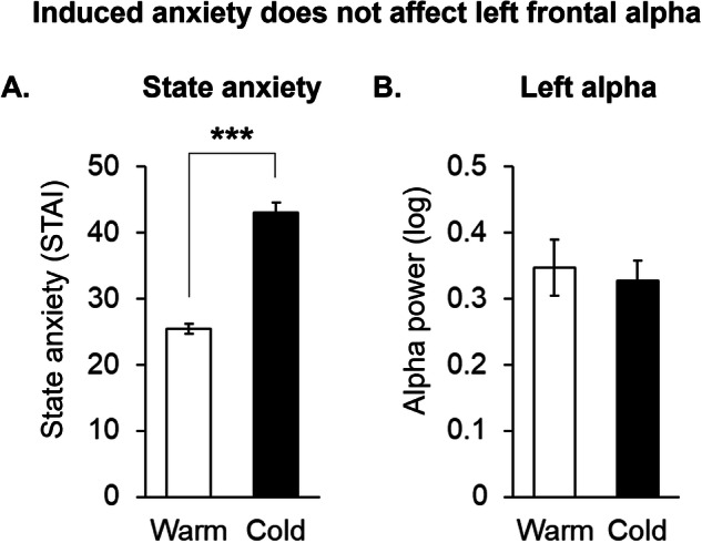 Left frontal alpha power is not modulated by state anxiety.Self-reported state anxiety from the State-Trait Anxiety Inventory (STAI) (A) and alpha power under the AF7 sensor (B) between warm and color water conditions of the cold pressor test (n = 40; ***p < 0.001).