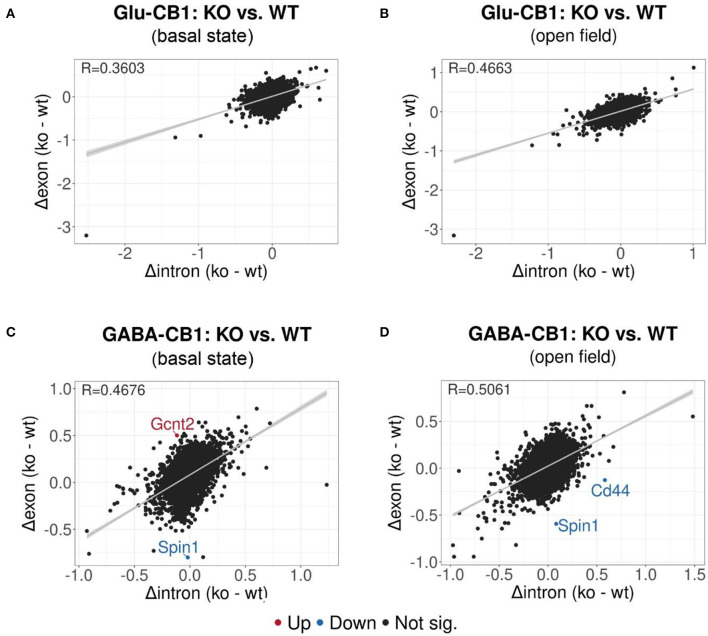 EISA analysis of the Glu-CB1 and GABA-CB1 comparisons in the basal state and after open field exposure. Dot plots representing the change in exonic and intronic counts for each gene (dots). The value R at the top left corner of each graph indicates the slope of the regression curve, as well as the tendency on whether the overall changes in gene expression are due to transcriptional (R = 1) or posttranscriptional (R = 0) changes. (A) EISA data resulting from comparing Glu-CB1-KO vs. CB1-WT mice in the basal state. (B) EISA data resulting from comparing Glu-CB1-KO vs. CB1-WT mice after open field exposure. (C) EISA data resulting from comparing GABA-CB1-KO vs. CB1-WT mice in the basal state. (D) EISA data resulting from comparing GABA-CB1-KO and CB1-WT mice after open field exposure. Significant post-transcriptionally regulated genes comparing conditional CB1-KO and CB1-WT mice are labeled and colored in red for upregulation and blue for downregulation.