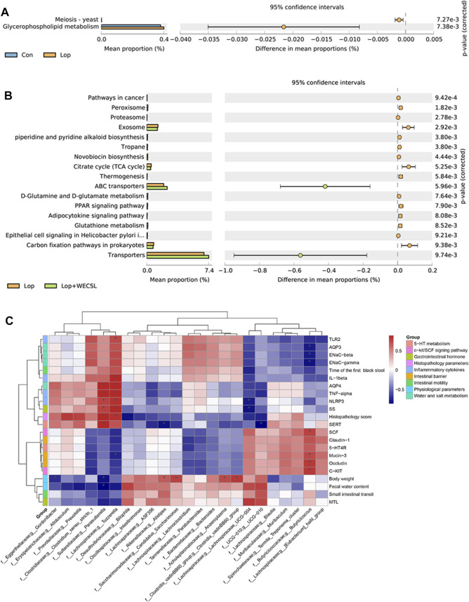 WECSL affected metabolic pathways of gut bacteria and correlation between bacterial abundance and constipation-related markers. (A,B) KEGG analysis of differences in the composition of metabolic pathways between Con and Lop (A), Lop and Lop + WECSL (B). (C) Spearman correlation test was used for correlation analysis, and the p-value was corrected using the Benjamini–Hochberg test (***FDR<0.001, **FDR<0.01, and *FDR<0.1). Red and blue colors represent significant positive correlations and negative correlations, respectively.