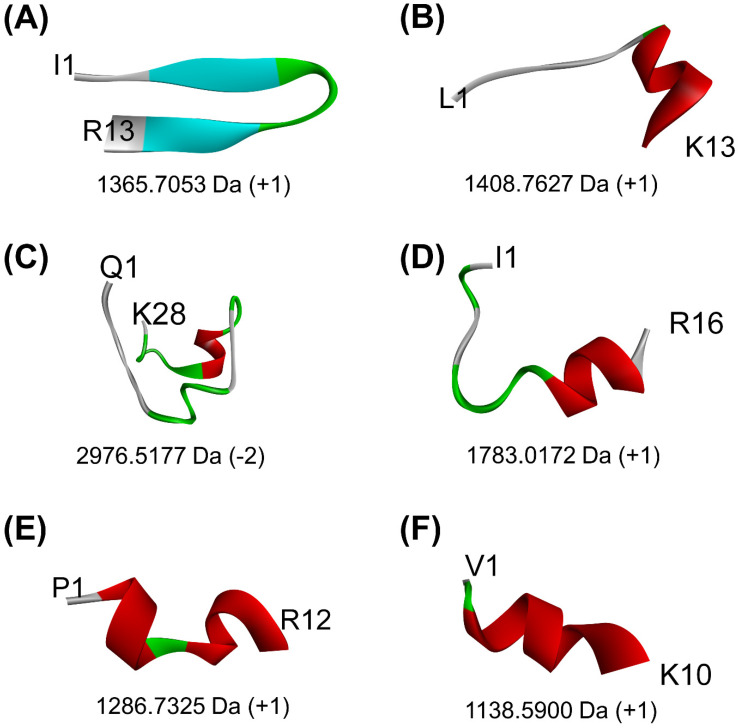 The 3D structures of six peptides predicted to bind to the key regions of both PirAvp and PirBvp that are involved in PirAvp/PirBvp complex formation: (A) ISYVVQGMGISGR, (B) LTFVVHGHALMGK, (C) QSLGVPPQLGNACNLDNLDVLQPTETIK, (D) ISTINSQTLPILSQLR, (E) PQFLVGASSILR, and (F) VQVVNHMGQK. The alpha-helical elements are shown in maroon, whereas the beta-strands are shown in light blue. Only the N- and C-terminal residues of each peptide are indicated. Values below each structure represent the molecular mass and the net charge of the peptide, as computed by PepDraw.