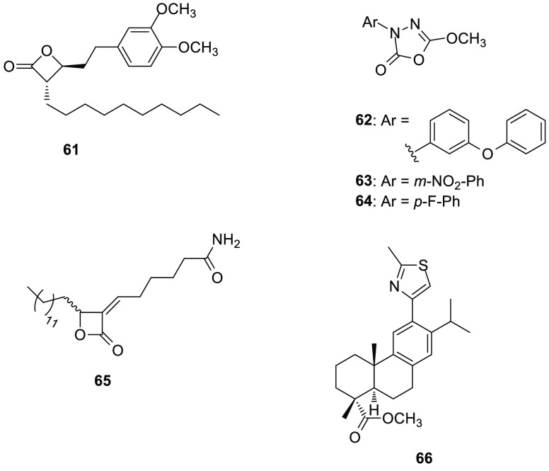 ABHD16A inhibitors.
