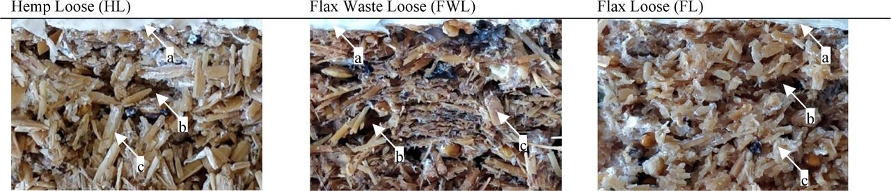 Cross section of the inner growth of undried FL, FWL and FL samples. (a) mycelium chitinous layer, (b) air-void, (c) limited decayed fibre by mycelium.
