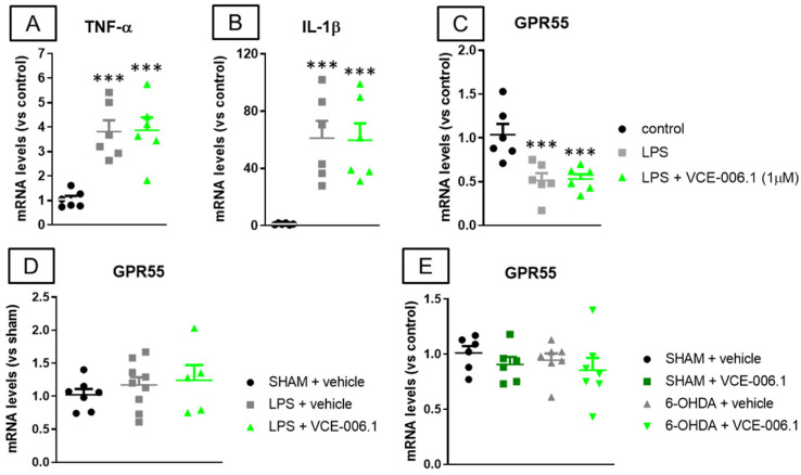mRNA levels for TNF-α (A), IL-1β (B), and GPR55 (C) measured by qPCR in BV2 cells exposed to LPS and/or VCE-006.1 (1 µM) for 20 h, and mRNA levels for GPR55 measured by qPCR in the striatum of male mice subjected to unilateral 6-OHDA (D) or LPS (E) lesions or sham-operated and daily treated with VCE-006.1 (20 mg/kg, i.p.) for 2 weeks. In all cases, GAPDH was used as an endogenous reference gene for data normalization, and values correspond to fold change vs. controls and are expressed as means ± SEM of more than 5 animals per group. Data were assessed by one-way ANOVA followed by the Tukey test (*** p < 0.005 vs. the control group).