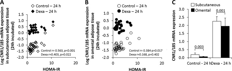 CNR1 gene expression in 24 h incubated adipose tissue from the subcutaneous, but not the omental depot, is increased with insulin resistance. Bivariate correlation between CNR1 mRNA expression in non-treated (control, n = 41) and dexamethasone-treated (n = 30) for 24 h paired samples of SAT a and OAT b and HOMA-IR. c CNR1 mRNA expression levels in paired samples of SAT and OAT non-treated and dexamethasone-treated for 24 h (n = 41 and 30, respectively)