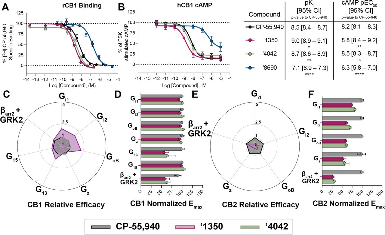 Functional activity of ‘4042 and its active enantiomer ‘1350.A. Binding affinity or B. Functional cAMP inhibition of ‘4042 and its enantiomers ‘1350 and ‘8690 compared to CP-55,940. One-way ANOVA statistical significance of individual pKi (A) or pEC50 (B) comparisons to CP-55,940 after correction with Dunnett’s test of multiple hypotheses are depicted in the table; ns = not significant, * p<0.05, ** p<0.01, **** p<0.001. C. Relative efficacy of ‘1350 and ‘4042 compared to CP-55,940 at hCB1. D. Normalized Emax from the experiments in C. E. Relative efficacy of ‘1350 and ‘4042 compared to CP-55940 at hCB2. F. Normalized Emax from the experiments in E. Data in A. & B. represent mean ± SEM from three independent experiments. Data in D & F. represent mean ± 95% CI of the best-fit Emax value.