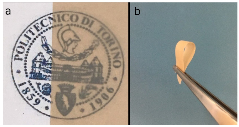 Photos of samples of the hemp MFC handsheet showing (a) color and transparency, and (b) flexibility.