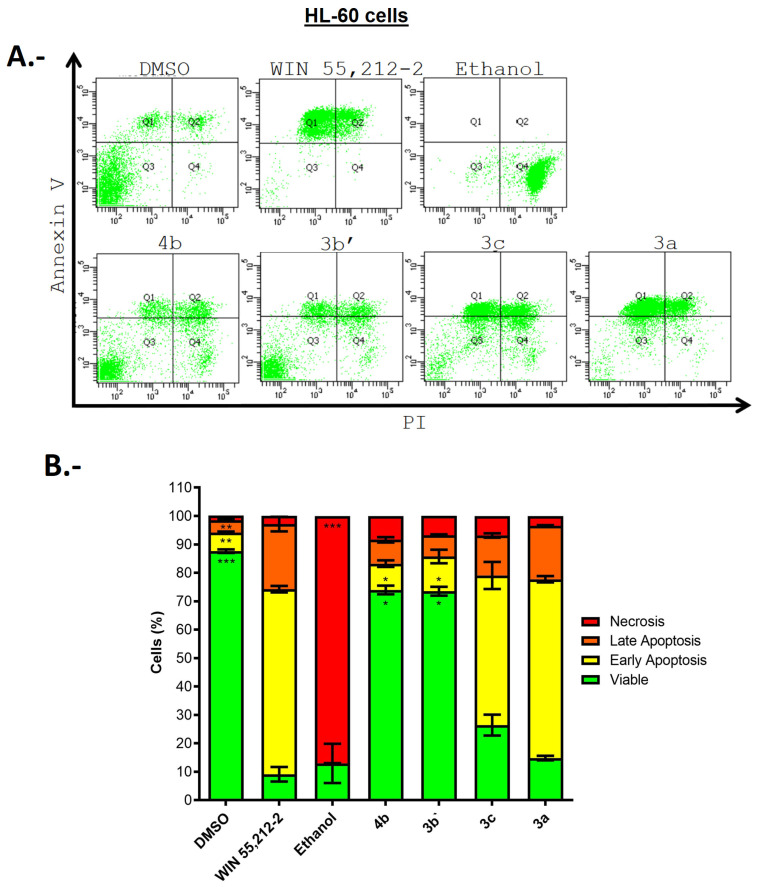 (A) Flow Cytometry (FC) dot plots of HL-60 cells after 72 h of incubation with DMSO, WIN-55,212-2 (5 µM), ethanol and compounds 3a, 3b’, 3c, and 4b (10 µM), which exhibited the best cytotoxic profile, as well as the lowest cytotoxic selectivity index values. (B) Bars graph show the results of selected compounds, the vehicle control (DMSO), the cannabinoid agonist WIN-55,212-2, and ethanol as a necrotic agent. Graph shows the average of results from three independent experiments (N = 3; mean ± SEM) and were analyzed using the non-parametric Kruskal–Wallis test for multiple comparisons. Significant differences in comparison to WIN-55,212-2 are indicated * p < 0.05, ** p < 0.01 and *** p < 0.001.