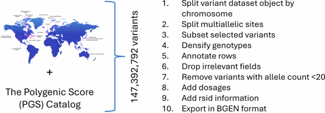 All of Us Research Program whole genome sequencing data analysis pipeline.Variants (SNPs and indels) from participating biobanks GWAS summary data and the Polygenic Score Catalog (https://www.pgscatalog.org) were extracted from the All of Us Research Program Hail variant dataset v7 object.