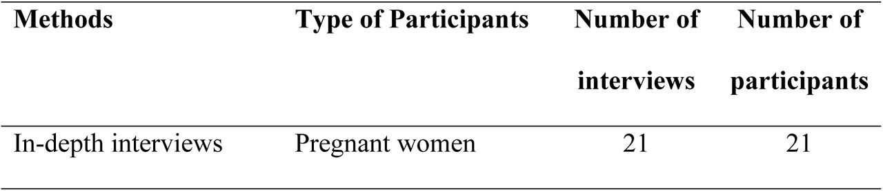 Interview methods used and sample size