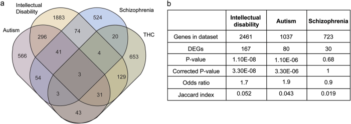 Genes altered by THC treatment in hiPSC-derived neurons are significantly associated with autism and intellectual disability.a Venn diagram showing the overlap between THC-related genes and autism, intellectual disability and schizophrenia. b THC-related genes are significantly related to autism and intellectual disability (p-value < 0.05)