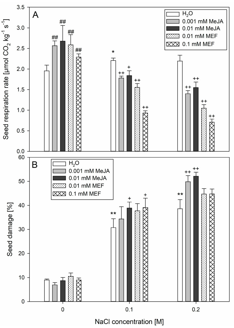 Effects of methyl jasmonate (MeJA) and mefenamic acid (MEF) on hemp seed respiration rate (A) and seed damage percentage (B) under salt stress. Seeds for the measurements were collected 24 h after incubation in NaCl (0.1 M and 0.2 M), MeJA (0.001 mM and 0.01 mM), or MEF (0.01 mM and 0.1 mM), and their mixtures. Values represent means ± SD. Statistical significance: NaCl vs. H2O ** p ≤ 0.01, * p ≤ 0.05; MeJA/MEF vs. H2O ## p ≤ 0.01; MeJA/MEF + NaCl vs. NaCl ++ p ≤ 0.01, + p ≤ 0.05.