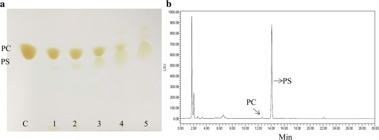 The transphosphatidylation results of the extracellularly secreted PLD-CBD. a The TLC result. The first line “C” represents the substrate PC, while the other lines 1, 2, 3, 4 represent the products catalyzed by 0.115 U, 0.23 U, 0.446 U, 1.15 U, 2.3 U extracellular PLD-CBD, respectively; b: The HPLC-ELSD results of the products catalyzed by 2.3 U extracellular PLD-CBD