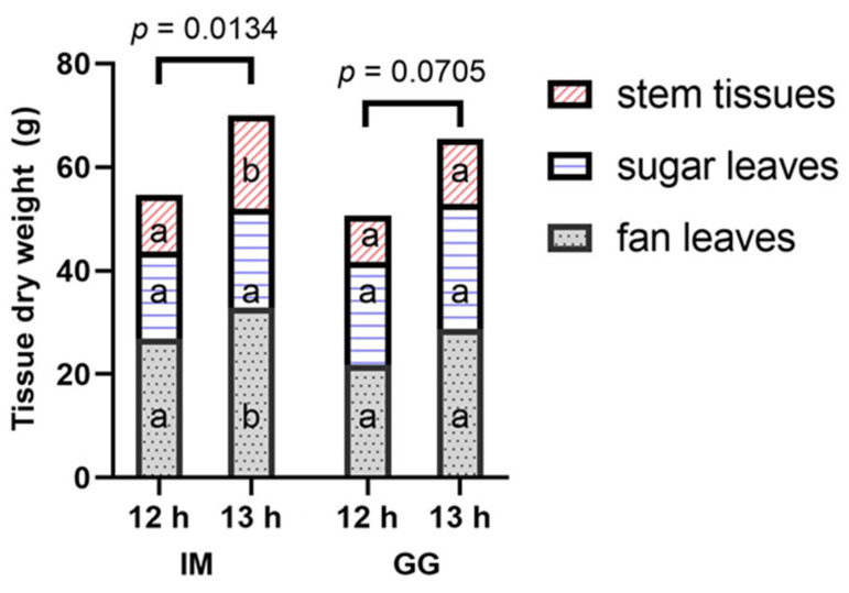 Dry weight (mean, n = 3) of aboveground vegetative tissues from individual plants under 12 h and 13 h photoperiod treatments in C. sativa cultivars ‘Incredible Milk’ (IM) and ‘Gorilla Glue’ (GG). Tissues are separated into stems (diagonal pink lines), sugar leaves (horizontal blue lines), and fan leaves (gray dotted pattern). In each cultivar and each tissue type, photoperiod treatments bearing the same lowercase letter are not significantly different at p ≤ 0.05 according to Student’s t-test. The p-values above each cultivar represent the significance level of the comparison of the total aboveground vegetative DW according to Student’s t-test.