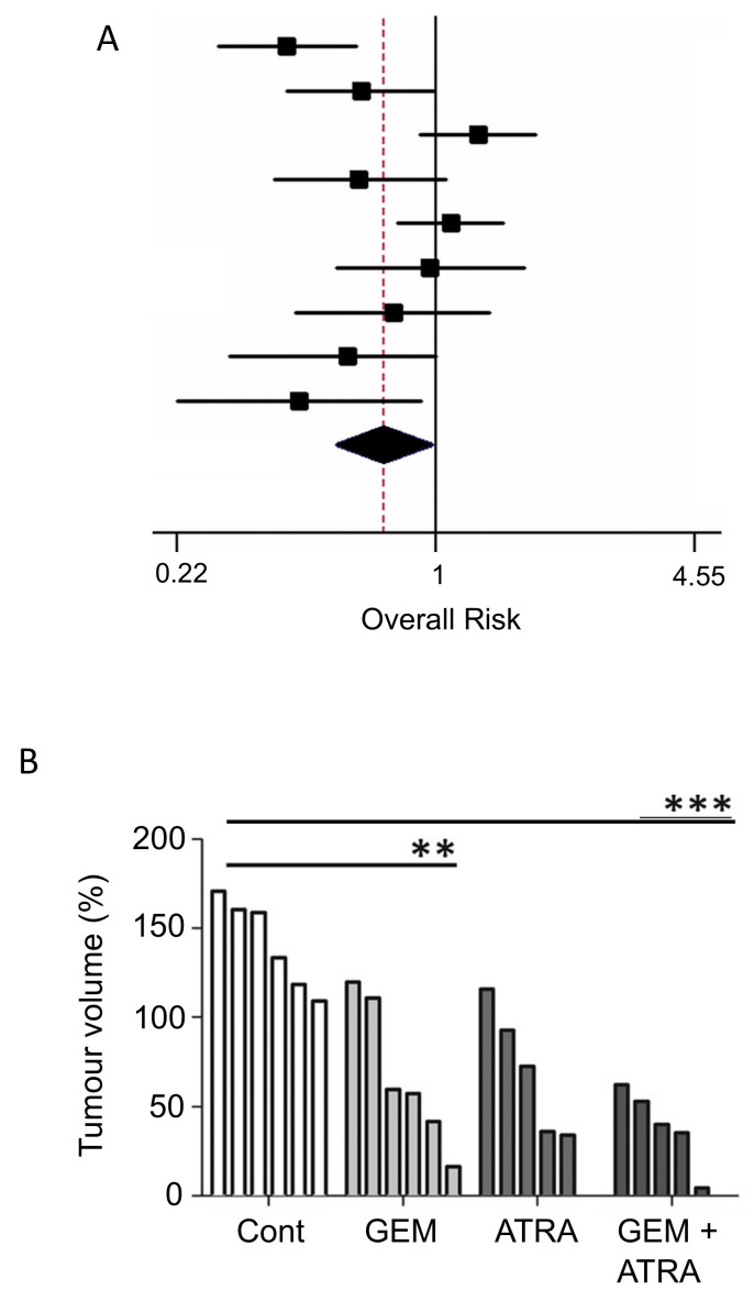Effects of combining chemotherapy with a dietary compound: Vitamin A. (A) Meta-analysis showing significant negative association between β-carotene intake and pancreatic cancer risk (no p-value specified). Diamond indicates the average and the spread of the data. Modified from Chen et al. [82], where further details and primary data can be found. (B) Effects of gemcitabine (GEM) and ‘all-trans retinoic acid’ (ATRA), alone or in combination, on tumor growth in a mouse KPC model of pancreatic cancer. Each histobar denotes result from a given mouse. The effect of the GEM + ATRA combination was more pronounced than gemcitabine alone (p < 0.001/*** and < 0.01/**, respectively). The apparent lack of significance between the effects of the combination and gemcitabine alone is likely to be due to the limited number of mice in each group. Modified from Carapuça et al. [194].