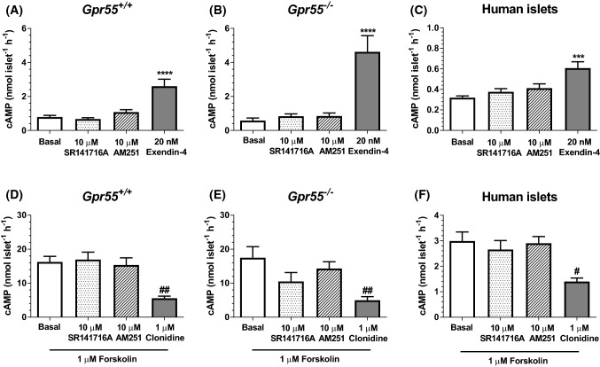 Effects of SR141716A and AM251 on cAMP levels in mouse and human islets. 10 μM SR141716A and AM251 had no effect on basal or forskolin-stimulated cAMP accumulation in islets from Gpr55+/+ (a, d) and Gpr55−/− (b, e) mice or from human donors (c, f). Nevertheless, 20 nM exendin-4 and 1 μM clonidine significantly increased and decreased cAMP, respectively (a–f). Data are expressed as mean ± SEM of 4–6 replicates within five individual experiments. #P < 0.05 and ##P < 0.01 clonidine vs. forskolin. ***P < 0.001 and ****P < 0.0001 exendin-4 vs. basal; data were analysed using one-way ANOVA, followed by Dunnett’s multiple comparisons post test
