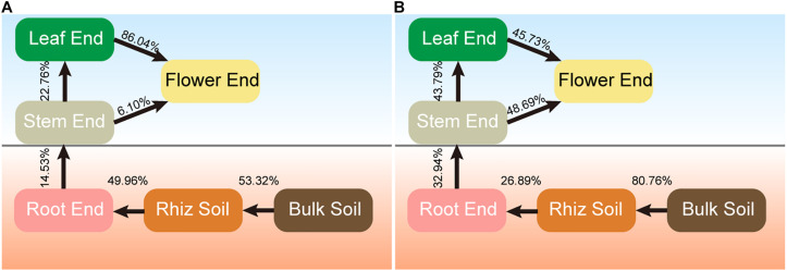 Source model showing the potential sources of hemp associated microbial communities. (A) Bacteria. (B) Fungi.