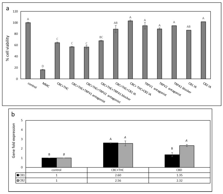 (a) Cell viability of T24 cells treated with CBC+THC (11.5 + 2.0 μg/mL, respectively) with or without CB1, CB2 inverse agonists (IA), TRPV1 or TRPV2 antagonists, or a TRPA1 blocker (10 µM). Cell viability was determined by XTT assay. Mitomycin-C (MMC, 8 µg/mL) served as a positive control. Methanol (control) treatment served as a solvent (vehicle) control. Error bars indicate ± SE (n = 3). Levels with different letters of the same font are significantly different from all combinations of pairs according to the Tukey–Kramer honest significant difference (HSD). (b) Quantitative PCR determination of the RNA steady state level in T24 cell line of CB1 receptor (CNR1) or CB2 receptor (CNR2) genes, after treatment with CBC + THC (11.2 + 1.8 μg/mL, respectively) or CBD (9.2 μg/mL) for 6 h relative to control. Methanol (control) treatment served as a solvent (vehicle) control. Gene transcript values were determined by quantitative PCR as a ratio between the target gene versus a reference gene (HPRT1; geneID 3251). Values were calculated relative to the average expression of target genes in treated versus control using the 2ΔΔCt method.