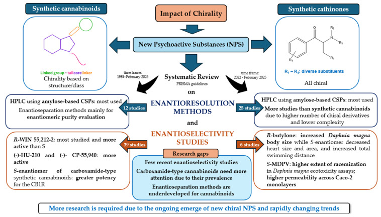 Diagram to illustrate the key points addressed in this review.