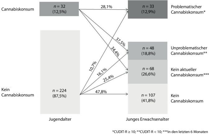 Entwicklung des Cannabiskonsums vom Jugend- zum jungen Erwachsenenalter (N = 256). Quelle: eigene Abbildung