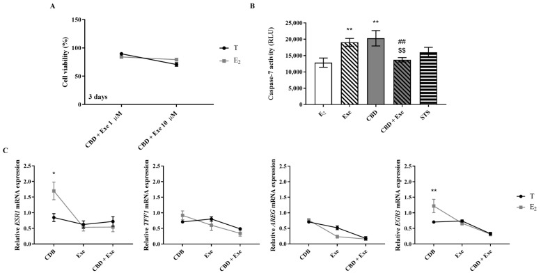Effects of Exe or CBD and their combination on MCF-7aro cell viability (A), apoptosis (B), and mRNA transcript levels of ESR1, TFF1, AREG, and EGR3 (C) in the presence of T (1 nM) or E2 (1 nM). Cells were stimulated with E2 or T and treated with the Exe (10 µM), CBD (1 and 5 µM), or their combinations for 2 or 3 days. Cells treated only with T or E2 were used as control, representing 100% of cell viability, and cells treated with STS were considered as positive control. mRNA transcript levels for ESR1, AREG, EGR3, and TFF1 genes were analyzed in relation to the housekeeping gene β-actin. Statistically significant differences between treated cells and E2, or between E2- and T-treated cells are expressed as * (p < 0.05) and ** (p < 0.01), while differences between the combinations and Exe alone are represented as ## (p < 0.01), and the differences between the combinations and CBD as $$ (p < 0.01).