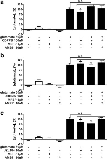 CDPPB, URB597 and JZL184 treatment do not alter glutamate extracellular concentration. Graphs show extracellular glutamate concentration ([glutamate]e) levels in primary cultured corticostriatal neurons that were either untreated (−) or treated (+) with 50 μM glutamate, 1 μM MPEP, 10 nM AM251, 100 nM CDPPB (a), 1 nM URB597 (b) and 10 nM JZL184 (c) for 5 min. Data represent the means ± SEM of four independent experiments. n.s. indicates not significant and # indicates significant difference as compared to untreated neurons (p <0.05)
