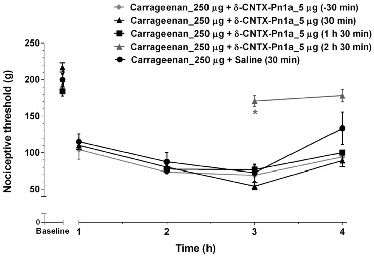 δ-CNTX-Pn1a antinociceptive effect following carrageenan-induced hyperalgesia. Rats were injected with 250 µg of carrageenan (Cg) into the right hind paw and then 5 µg of δ-CNTX-Pn1a (1 nmol) was intraplantarly administered into the same site, at different times (−30 min, 30 min, 1 h and 30 min, and 2 h and 30 min related to Cg injection). Nociceptive threshold was measured hourly 1 h after Cg injection. Each symbol represents MEAN ± SEM. n = 4 rats per group. Data were analyzed using ANOVA and Bonferroni post-test. p < 0.05 compared to Cg + Saline (*).
