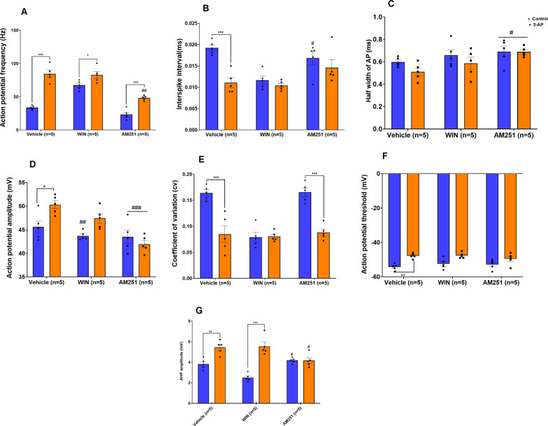 The effect of CB1R agonist/antagonist on the spontaneous firing properties of Purkinje cells in control and 3-AP treated slices. A Electrophysiological properties shown are action potential frequency, B interspike interval, C action potential half-width, D action potential amplitude, E coefficient variant, F action potential threshold, and G AHP amplitude. n = 6 cells/group; one cell from each rat. The data are expressed as mean ± SEM. *(P < 0.05), **(P < 0.01), and ***(P < 0.001) represent a significant difference with the counterpart group. #(P < 0.05), ## (P < 0.01), and ###(P < 0.001) represent a significant difference versus 3-AP