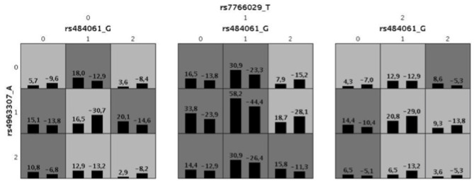Illustration for the best combination defined by GMDR for 69 SNPs for AUDIT. The allele code is defined by minor allele numbers of rs484061 (allele G), rs4963307(allele A) and rs7766029 (allele T). The numbers above the histogram bar, indicate the sum of “positive” (above the averaged score = 0) and “negative” (below the averaged score = 0) scores by the combination of genotypes. Also, the dark gray indicates a high-risk combination of the genotypes with alcoholism and light gray for low risk. It defined by sum of positive and negative score, when it's < 0 for low-risk and > 0 for high-risk.