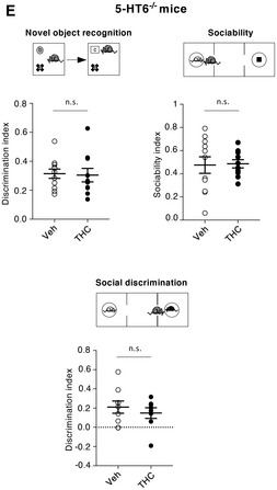 Figure 1E. Corrected.