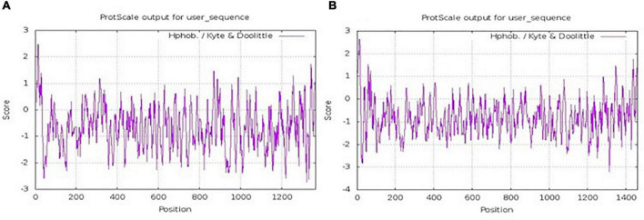 Hydrophobicity distribution of the amino acids of α1 chain (A) and α2 chain (B) of yak collagen-I.
