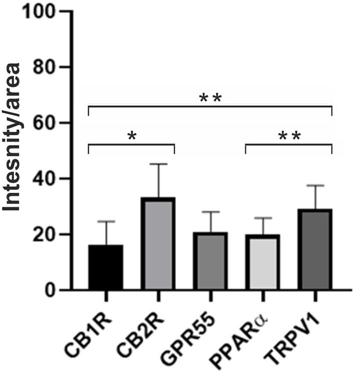 Quantification of the intensity of the expression of CB1R, CB2R, GPR55, PPARα, and TRPV1 in the synovial membrane of metacarpophalangeal joints of 12 horses. Data are represented as Mean ± SD and were analyzed using One-way ANOVA multiple comparisons test. *P < 0.05 and **P < 0.01.