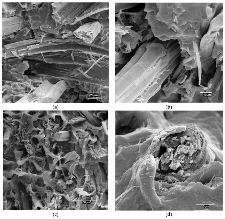 Scanning electron microscope (SEM) micrographs of the sections broken under impact for PP composites reinforced with 40 wt % of HS; (a,b): uncoupled composites, (c,d): composites adding 4 wt % of MAPP.
