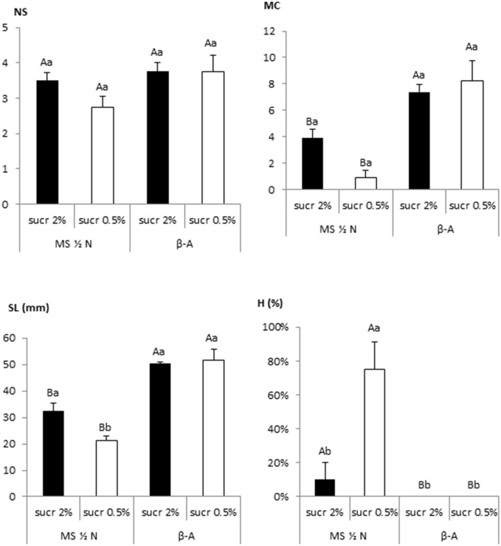 Effect of sucrose and mineral medium on the growth of 8 apical sections of Beatriz genotype cultured in RITA® vessels. Explants were grown in MS medium with half-strength nitrates and in β-A medium, both supplemented with 2-μM metatopoline and 2 or 0.5% sucrose. The data were recorded after 4 weeks of culture. The values represent the mean ± standard error. For each variable, different uppercase letters indicate significant differences in relation to the medium, and different lowercase letters indicate significant differences in relation to sucrose supplementation (p < 0.05). NS, number of shoots per explant; MC, multiplication coefficient; SL, length of the longest shoot (mm); H, percentage of hyperhydric shoots.