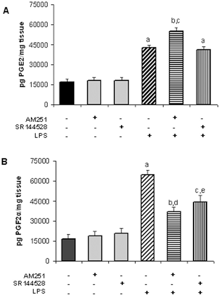 LPS-induced PGE2 and PGF2α production is mediated by endocannabinoids.A) PGE2 production for uterine explants incubated with LPS (1 ug/ml) and AM251 (10 nM) or SR144528 (10 nM) for 24 h. ANOVA test. a, p<0.001 vs control or AM251 or SR144528; b, p<0.001 vs control or AM251; c, p<0.001 vs LPS. n = 6. B) PGF2α production for uterine explants incubated with LPS (1 ug/ml) and AM251 (10 nM) or SR144528 (100 nM) for 24 h. ANOVA test. a, p<0.001 vs control or AM251 or SR144528; b, p<0.01 vs control or AM251; c, p<0.001 vs control or SR144528; d, p<0.001 vs LPS; e, p<0.01 vs LPS. n = 5.