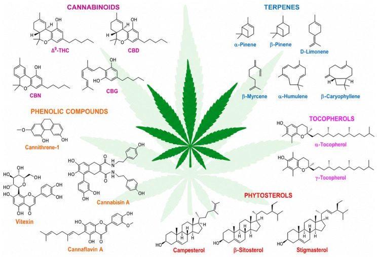 Cannabis sativa subsp. sativa phytochemicals [27].