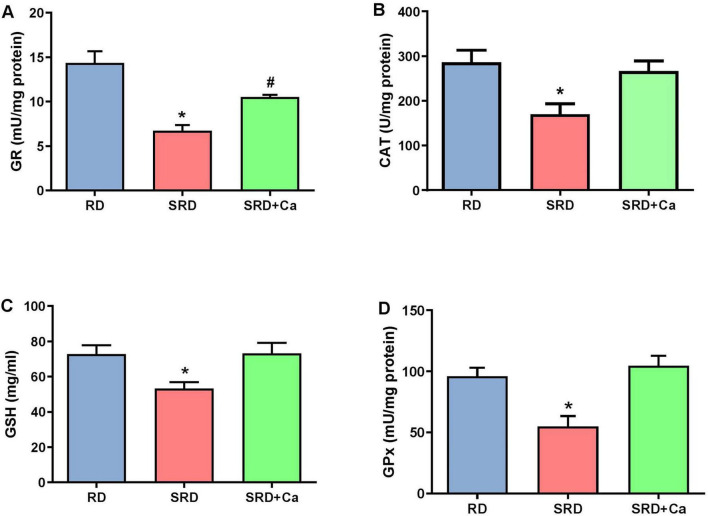 Four bar graphs labeled A, B, C, and D compare antioxidant enzyme measurements across three groups: RD, SRD, and SRD plus Ca. In all panels, the SRD group has significantly lower values than RD, while SRD plus Ca restores levels closer to RD. Error bars indicate variability. Asterisks and symbols mark statistical significance.