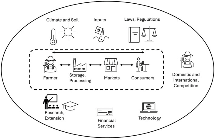 Landscape of hemp production described by farmers in Florida, with production, marketing and surrounding socio-economic and regulatory aspects. (source: main author)