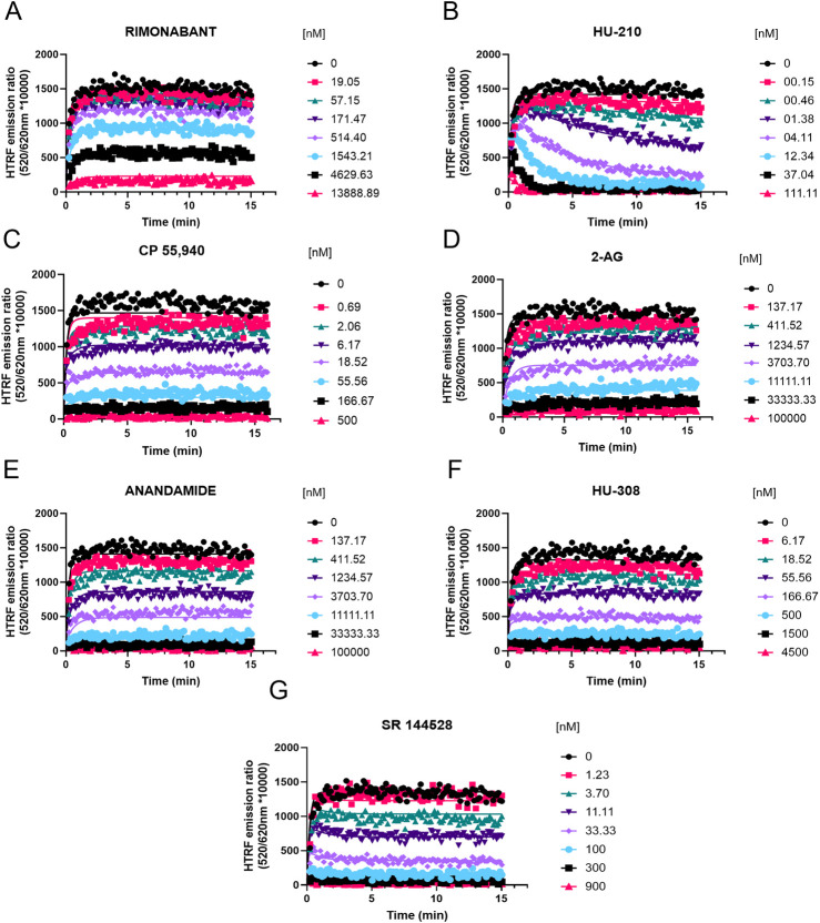 Competition kinetic binding curves of cannabinoid ligands at 37°C competing with D77 for the CB2R. Experiments were conducted using a fixed concentration of the tracer molecule D77 (900 nM) and increasing concentrations of unlabeled ligands (A) rimonabant, (B) HU-210, (C) CP 55,940, (D) 2-AG, (E) anandamide (AEA), (F) HU-308, and (G) SR 144528. Data were globally fitted to the competition association model using GraphPad Prism 9.2 to simultaneously calculate k on and k off values of the unlabeled competitors. Graphs show representative curves from four experiments conducted independently.