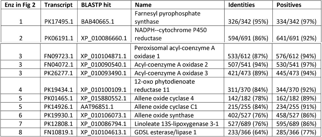 BLASTP results of Cannabis transcripts against Genbank nr protein database.
