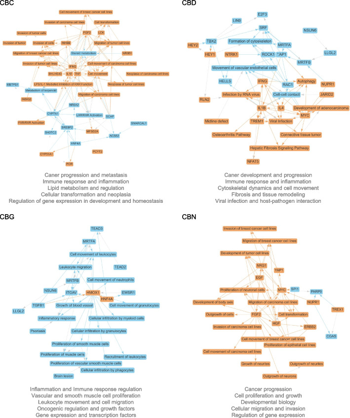 Biological themes networks (graphical summary) of the four cannabinoids. The top 5 biological themes depicted for each compound are listed under the network, of which detailed descriptions are included in Supplementary File 6. The entities (genes, pathways, or functions) in orange color are predicted activation, and those in blue inhibition. Interactions in solid line are direct while those in dotted lines are indirect